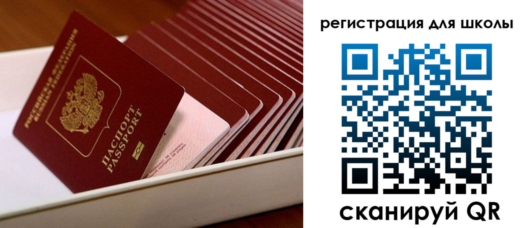 прописка гарантия в Невеле
